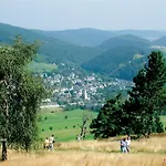 Lägenhet First-class Domizil Willingen-lodge Mit Garten In Zentraler Top-lage! *