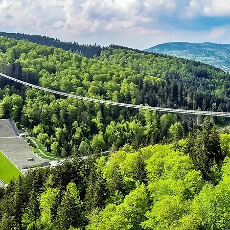 First-class Domizil Willingen-lodge Mit Eingezaeuntem Garten Und Spielplatz In Zentraler Top-lage! Appartement *
